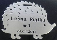 Medale dla dzieci i młodzieży - Leśna Piątka 2014